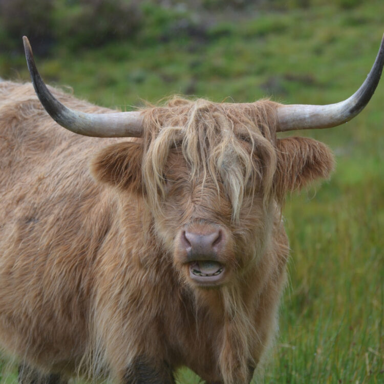 Billable hours - why it’s time for firms to slaughter this sacred cow