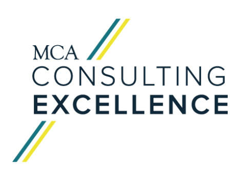Consulting Excellence: The Implications for Professional Development