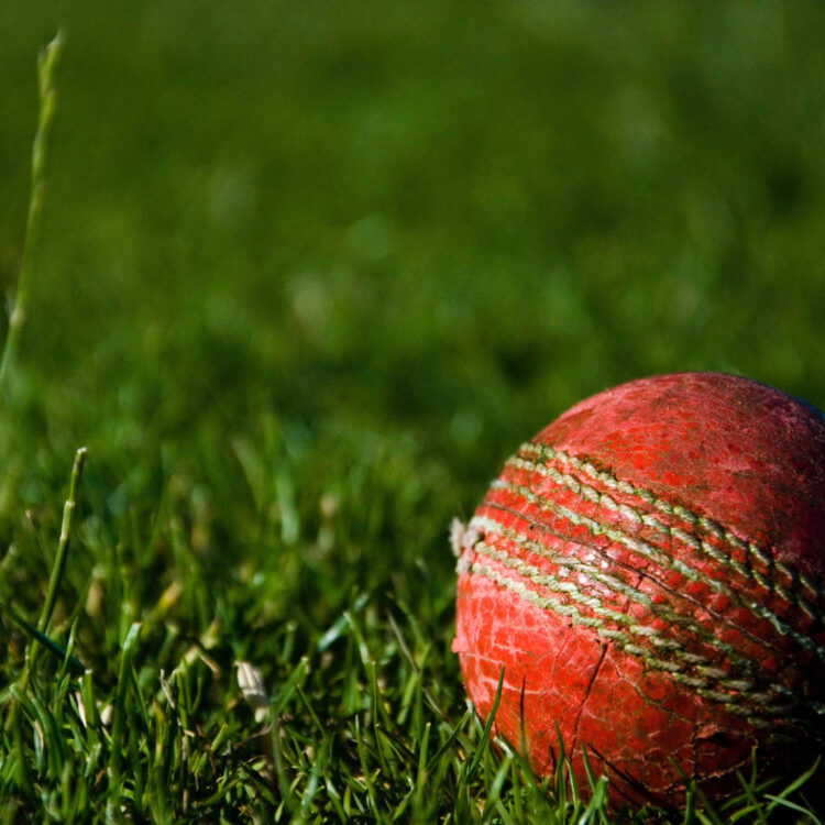 Learning to catch a ball and learning leadership
