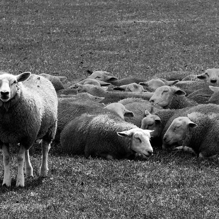 Tales of the Unexpected: Rethinking Differentiation