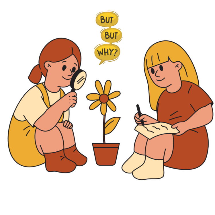 curiosity never sleeps